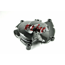 Carbon Fiber Enginer Cover (bIg) for YAMAHA R1 2015